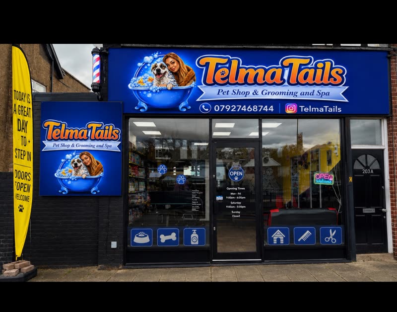 The Telma Tails shopfront on Kingston Road at night, lit fascia and window graphics